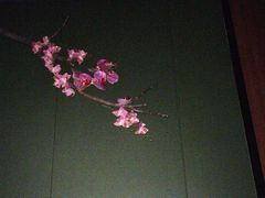 -澜·庭汇SPA会所(涉外店)