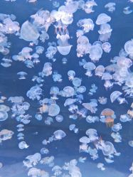 -酷嗒动物文化乐园(cutezoo西溪乐天城店)