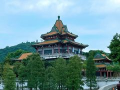 -顺峰山公园