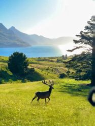 -美肤盾祛痘·问题肌头疗管理中心