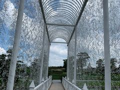 -迪茵湖田家舍生态农场
