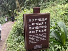 -峨眉山风景名胜区