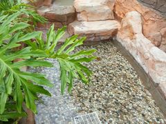 -韶关经律论国际酒店温泉