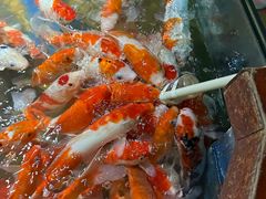 -太平洋海底世界