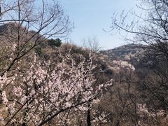 -舌尖上的老贾火勺