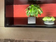 -鸽味轩·粤菜小馆(高楼门总店)