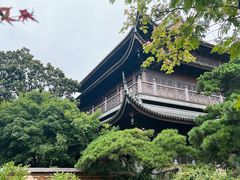 -龙华素斋(龙华路店)