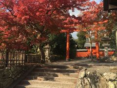 -天龙寺