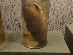 -中国农业博物馆
