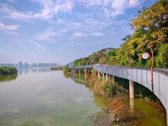 -青山湖景区