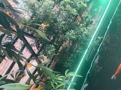 -优之名鹅城