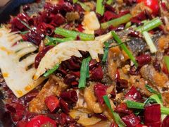 -老板恋上鱼(恒隆广场店)