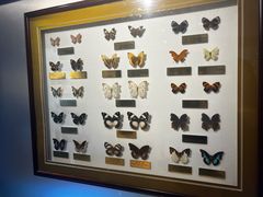 -上海昆虫博物馆