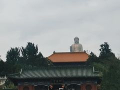 -中原大佛景区