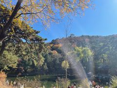 -香山公园