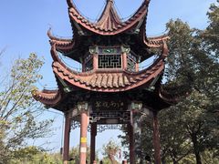 -北宫国家森林公园