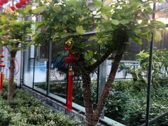 -南宫五洲植物乐园