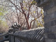 -桃花堤公园
