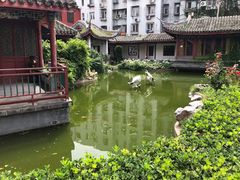 -月坛宾馆-聚仙楼餐厅