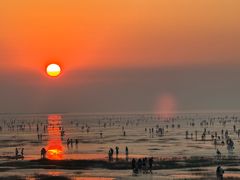 -南汇嘴观海公园