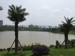 -枫香湖儿童公园