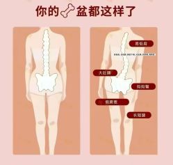 -兰瑜伽·普拉提·塑形