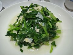 -老吉士酒家(天平路店)