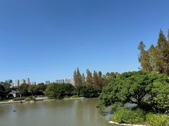 -江心屿景区