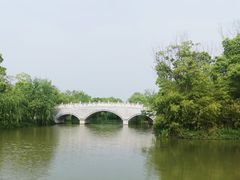 -同里国家湿地公园