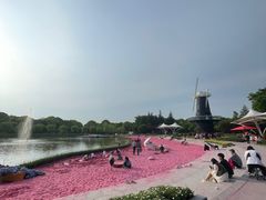 -上海鲜花港