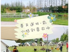 -前小桔亲子创意农场·草莓采摘·露营烧烤