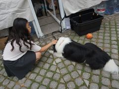 -上街里市集(悦喜客来广场店)