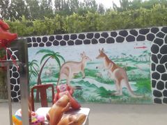 android_upload_pic-太原动物园