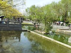 -洛阳白马寺