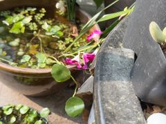 -川匠·睡眠采耳·SPA(九眼桥店)