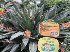 -北戴河集发农业梦想王国