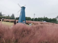 -鹅湖玫瑰文化园