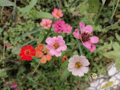 -桤木河湿地公园