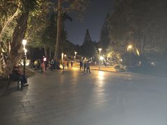 -荔湾湖公园