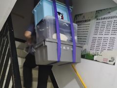 -骆驼日式搬家收纳整理