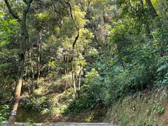-黄埔油麻山森林公园