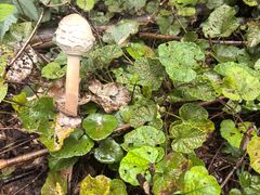 -会稽山峡洞漂流-上青古道