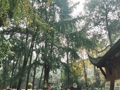 -宝光寺