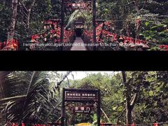 -呀诺达热带雨林
