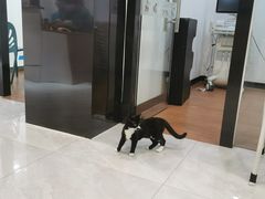 -荔康动物医院(康王北路店)