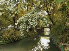 -西溪国家湿地公园