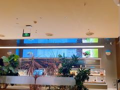 -Bco豆库(星耀天地店)