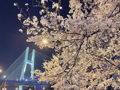 -南浦大桥长途旅游客运站