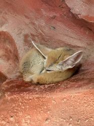 -Zoolung Zoolung动物主题公园(海信广场店)