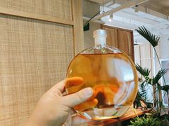 -长春藤咖啡(北园店)